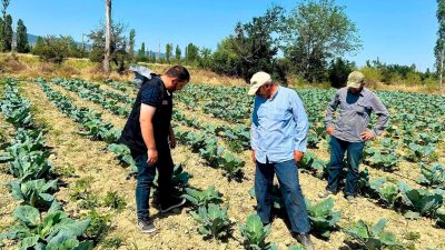 Afyonkarahisar'da bitkisel üretimde verim ve kaliteyi korumak, hastalık ve zararlıların