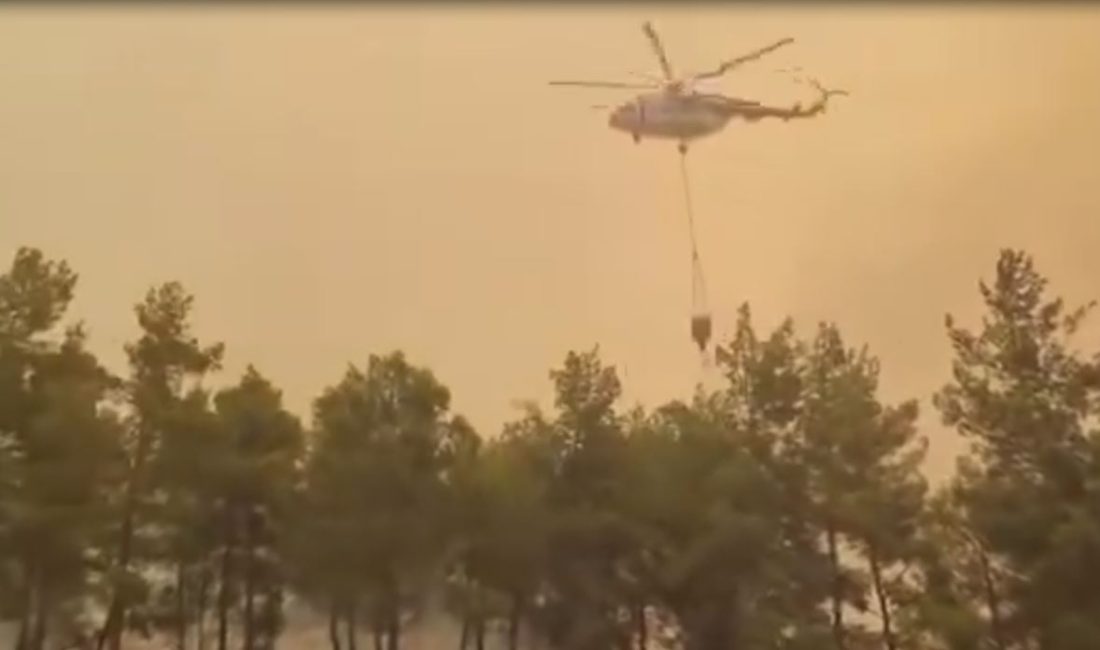 Muğla'nın Seydikemer ilçesinde orman dışı alanda başlayarak ormanlık alana sıçrayan