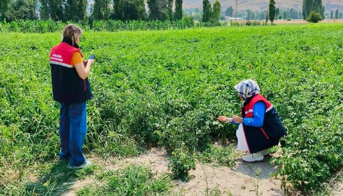 Afyonkarahisar İl Tarım ve Orman Müdürlüğü ekipleri, tarım arazilerinin korunması