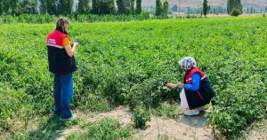 Afyonkarahisar İl Tarım ve Orman Müdürlüğü ekipleri, tarım arazilerinin korunması