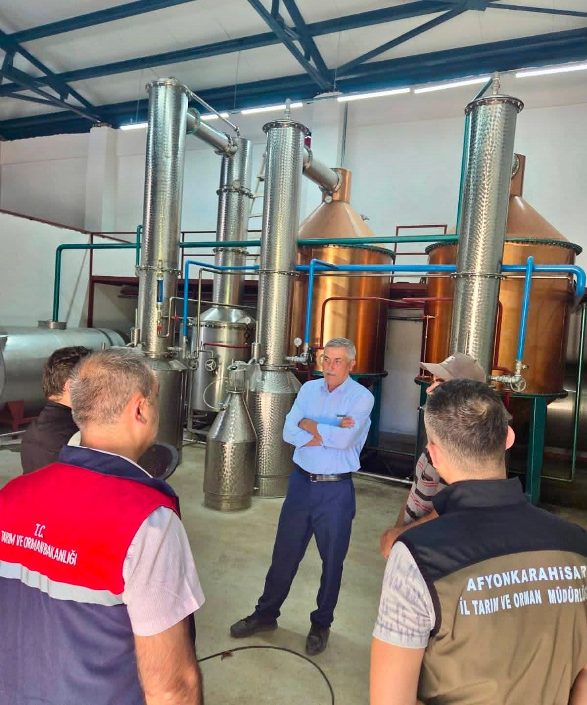 Tıbbi aromatik bitki üretimi için saha çalışmaları sürüyor