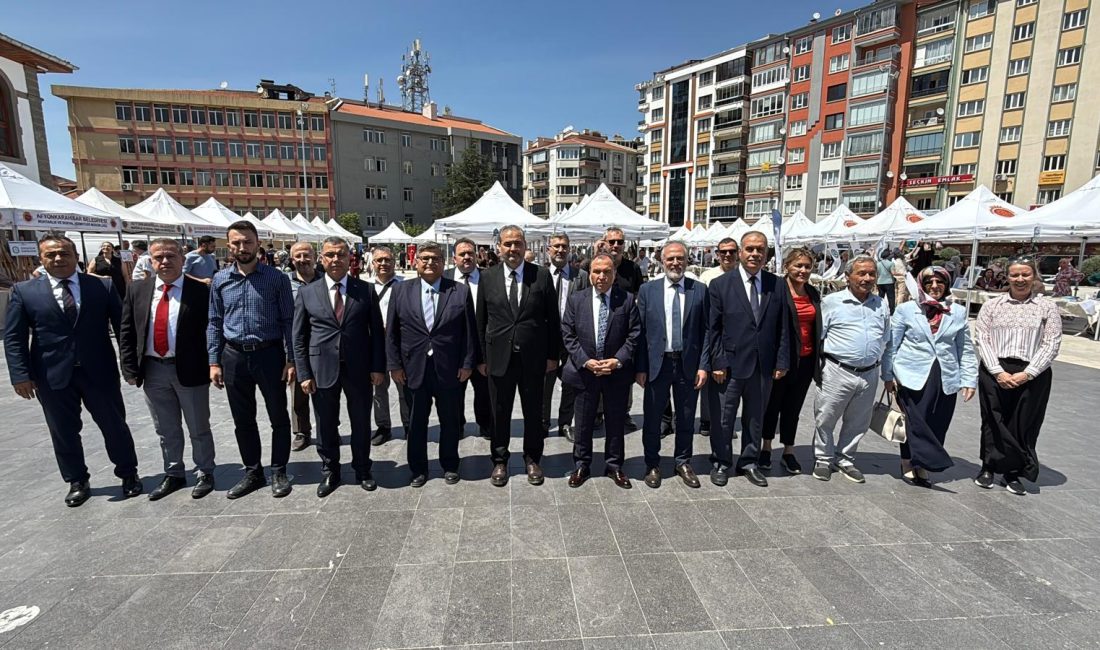 Afyonkarahisar'da, Yükseköğretim Kurumları Sınavı (YKS) tercih sürecindeki aday öğrencilere rehberlik