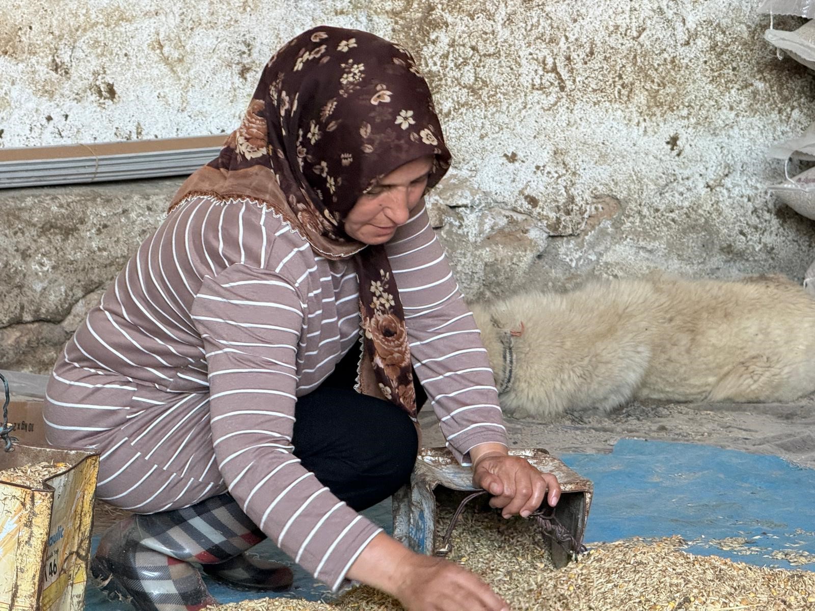 Eşini vahşice kaybetti, çobanlık yaparak çocuklarını okutuyor