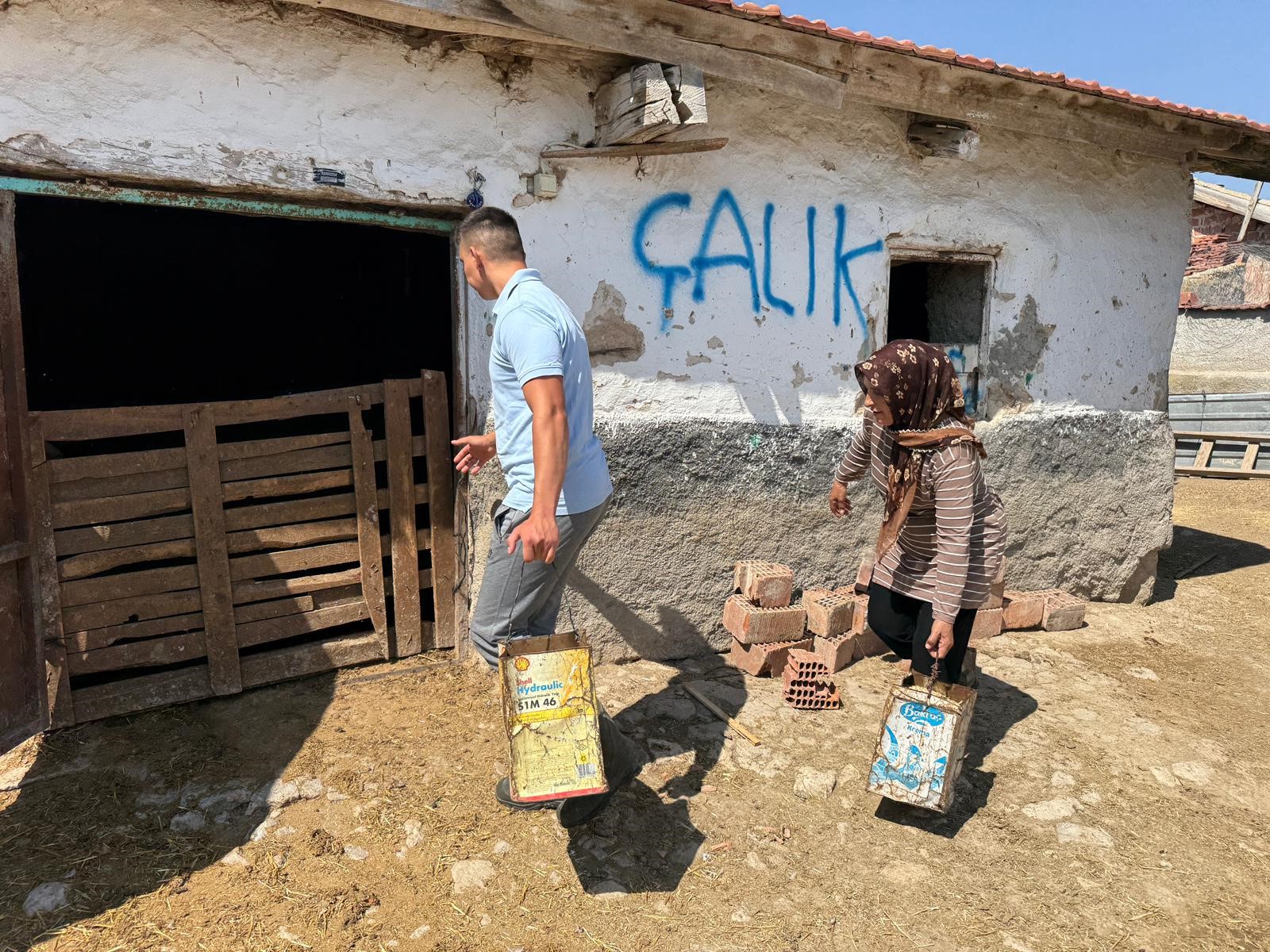 Eşini vahşice kaybetti, çobanlık yaparak çocuklarını okutuyor