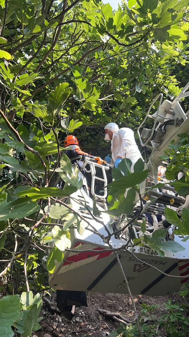 Koku ihbarına giden ekipler cesetle karşılaştı