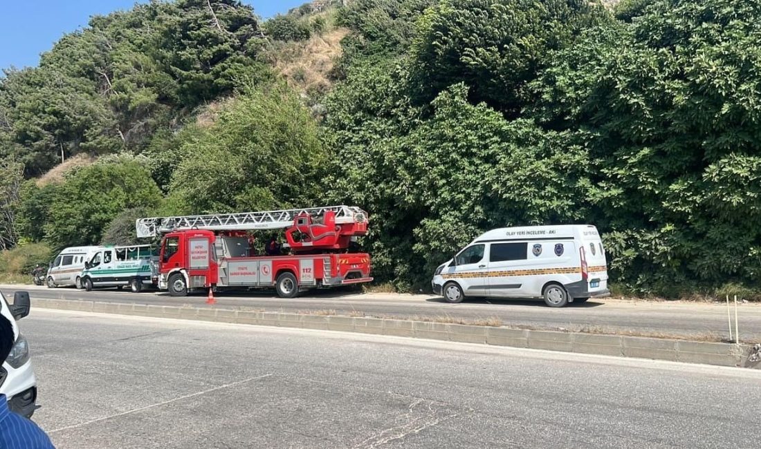 Hatay'da ağaçlık alandan gelen koku üzerine yapılan kontrollerde, incir ağacına