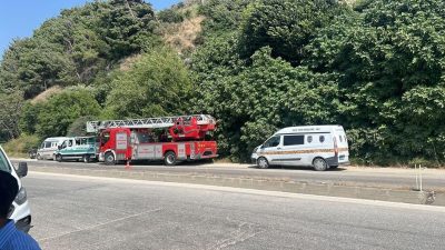 Hatay'da ağaçlık alandan gelen koku üzerine yapılan kontrollerde, incir ağacına