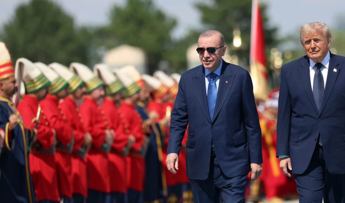 Ankara'da gerçekleştirilen 36. NATO Zirvesi kapsamında Cumhurbaşkanlığı Külliyesi'nde düzenlenen resepsiyon,