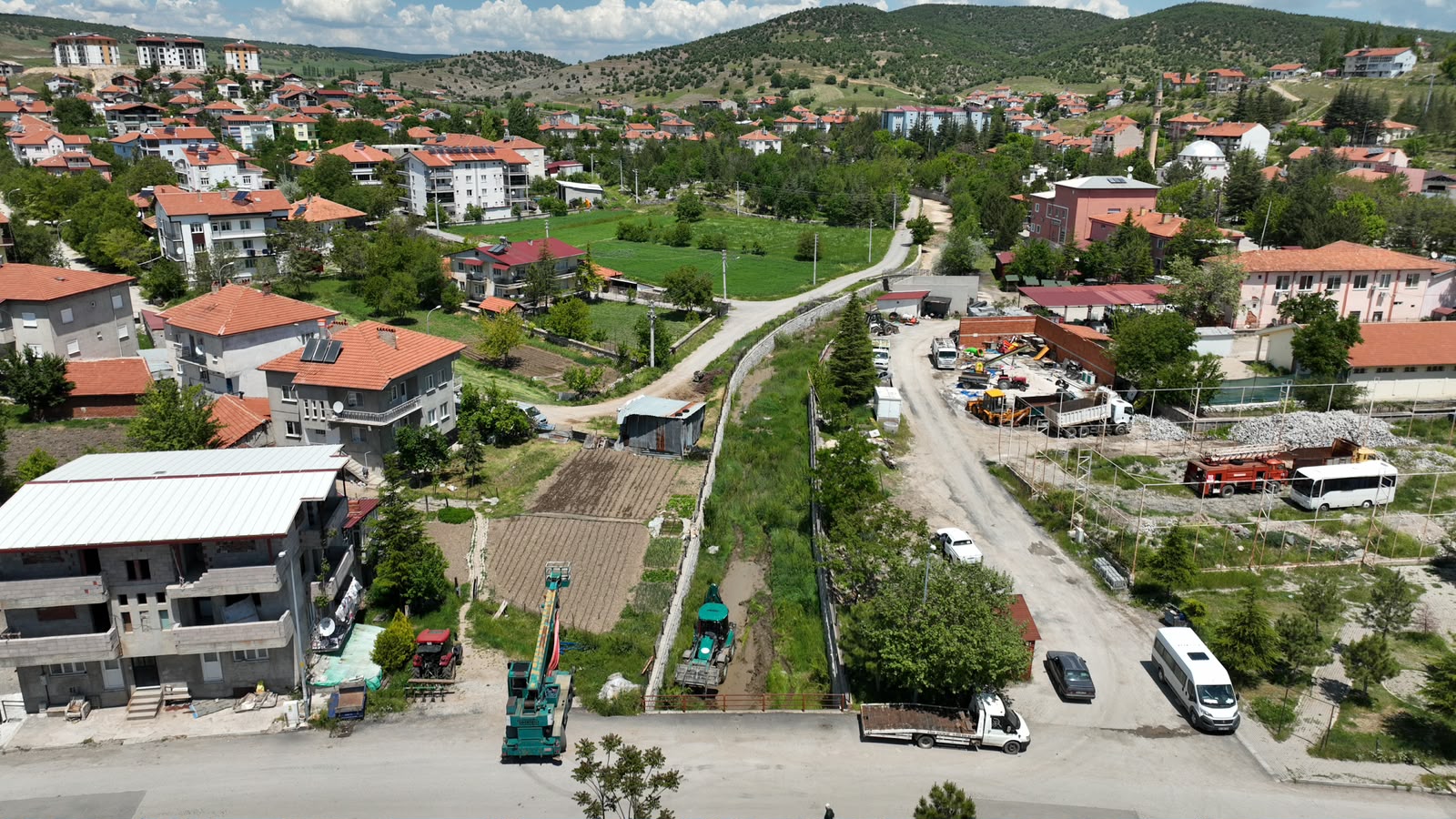 Yeşil karıncalar her zaman sahada