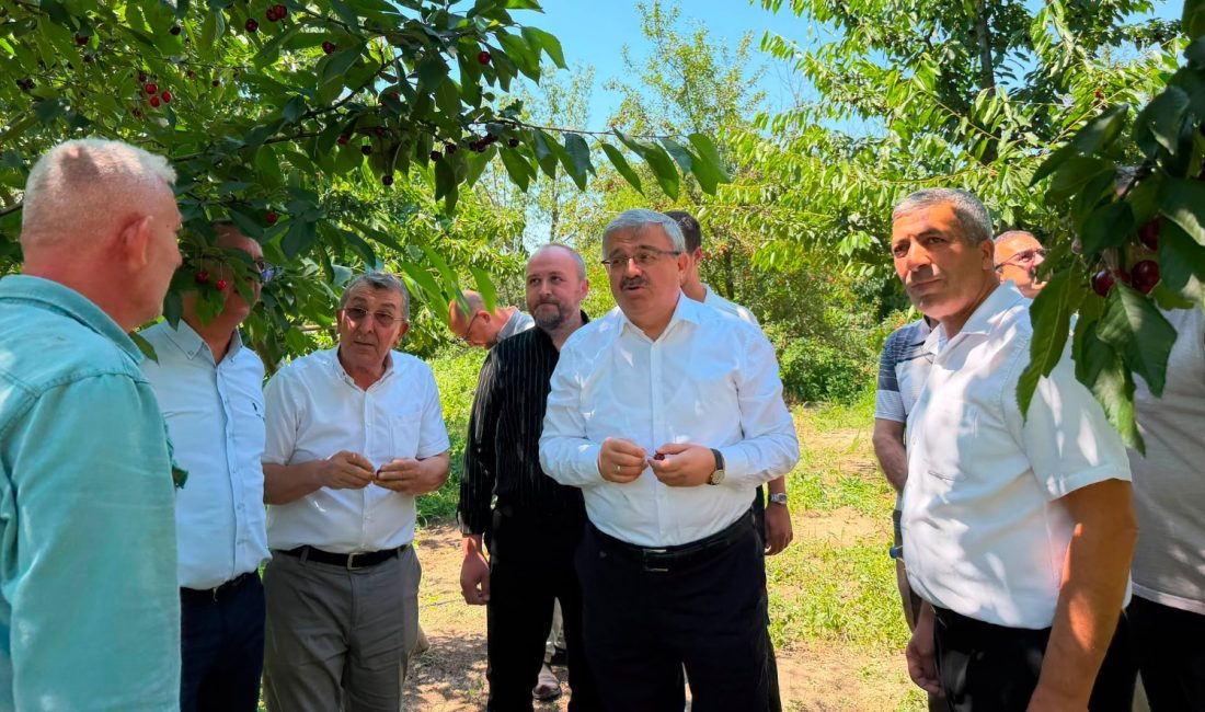 AK Parti Afyonkarahisar Milletvekili, TBMM Başkanlık Divanı Üyesi ve Av.