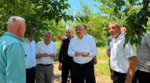 AK Parti Afyonkarahisar Milletvekili, TBMM Başkanlık Divanı Üyesi ve Av.