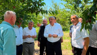 AK Parti Afyonkarahisar Milletvekili, TBMM Başkanlık Divanı Üyesi ve Av.