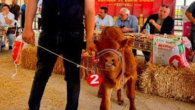 Afyonkarahisar’ın Bolvadin ilçesinde bu yıl 35’incisi düzenlenen Eber Gölü Kaymak