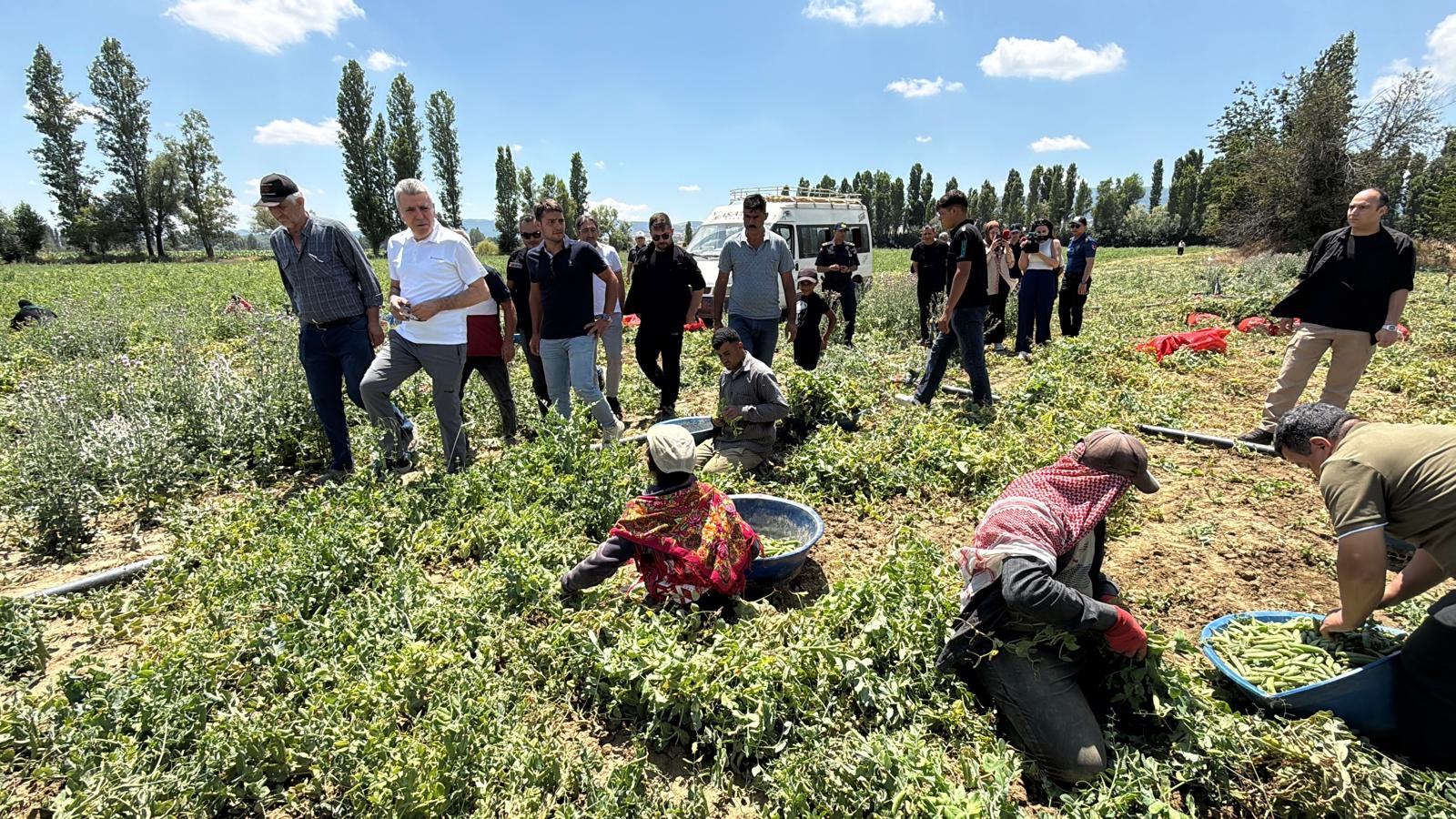 Bezelye hasadında katmerli mola