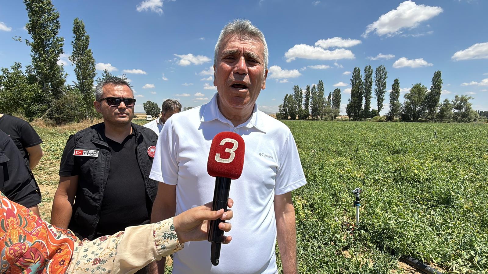 Bezelye hasadında katmerli mola