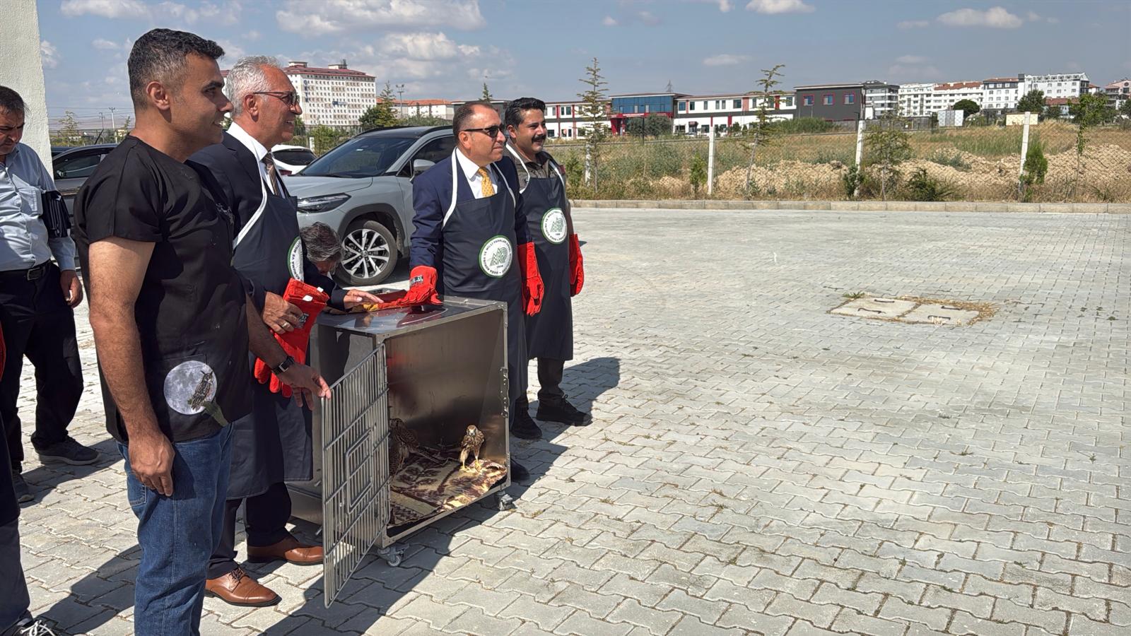 Afyon'da tedavisi tamamlanan kuşlar doğaya salındı