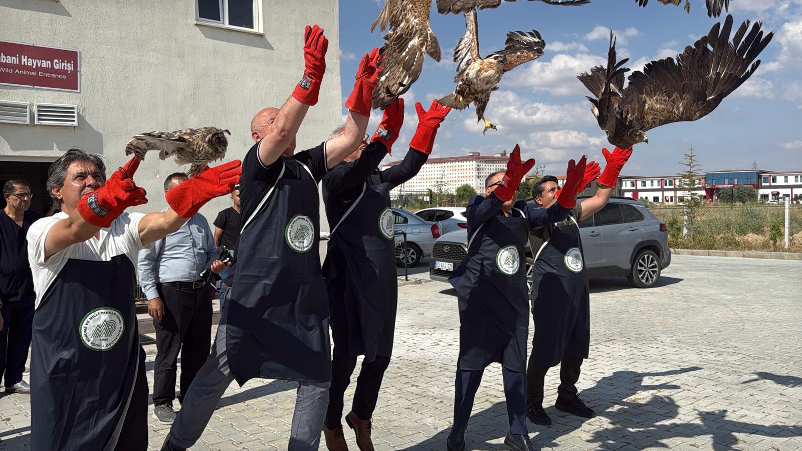 Afyon'da tedavisi tamamlanan kuşlar doğaya salındı 3 Afyon'da tedavisi tamamlanan kuşlar doğaya salındı