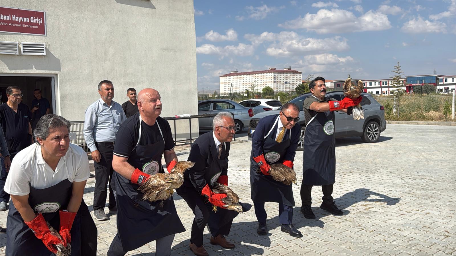 Afyon'da tedavisi tamamlanan kuşlar doğaya salındı 2 Afyon'da tedavisi tamamlanan kuşlar doğaya salındı