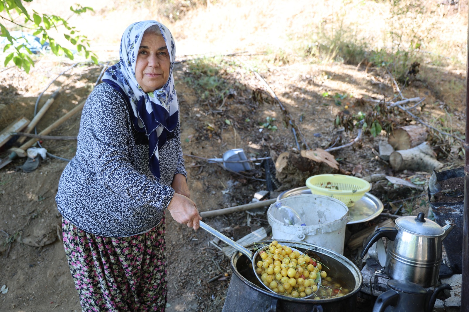 Satılamayan kirazlar kurutularak kışlık çereze dönüştürülüyor 1 Satılamayan kirazlar kurutularak kışlık çereze dönüştürülüyor