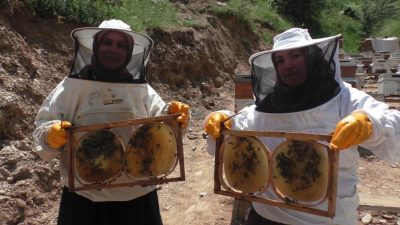 Bitlis'in Tatvan ilçesinde 5 kovanla başladıkları arıcılıkta bugün 100 kovana
