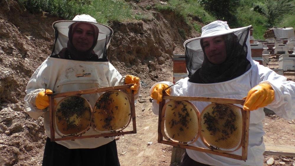 Bitlis'in Tatvan ilçesinde 5 kovanla başladıkları arıcılıkta bugün 100 kovana