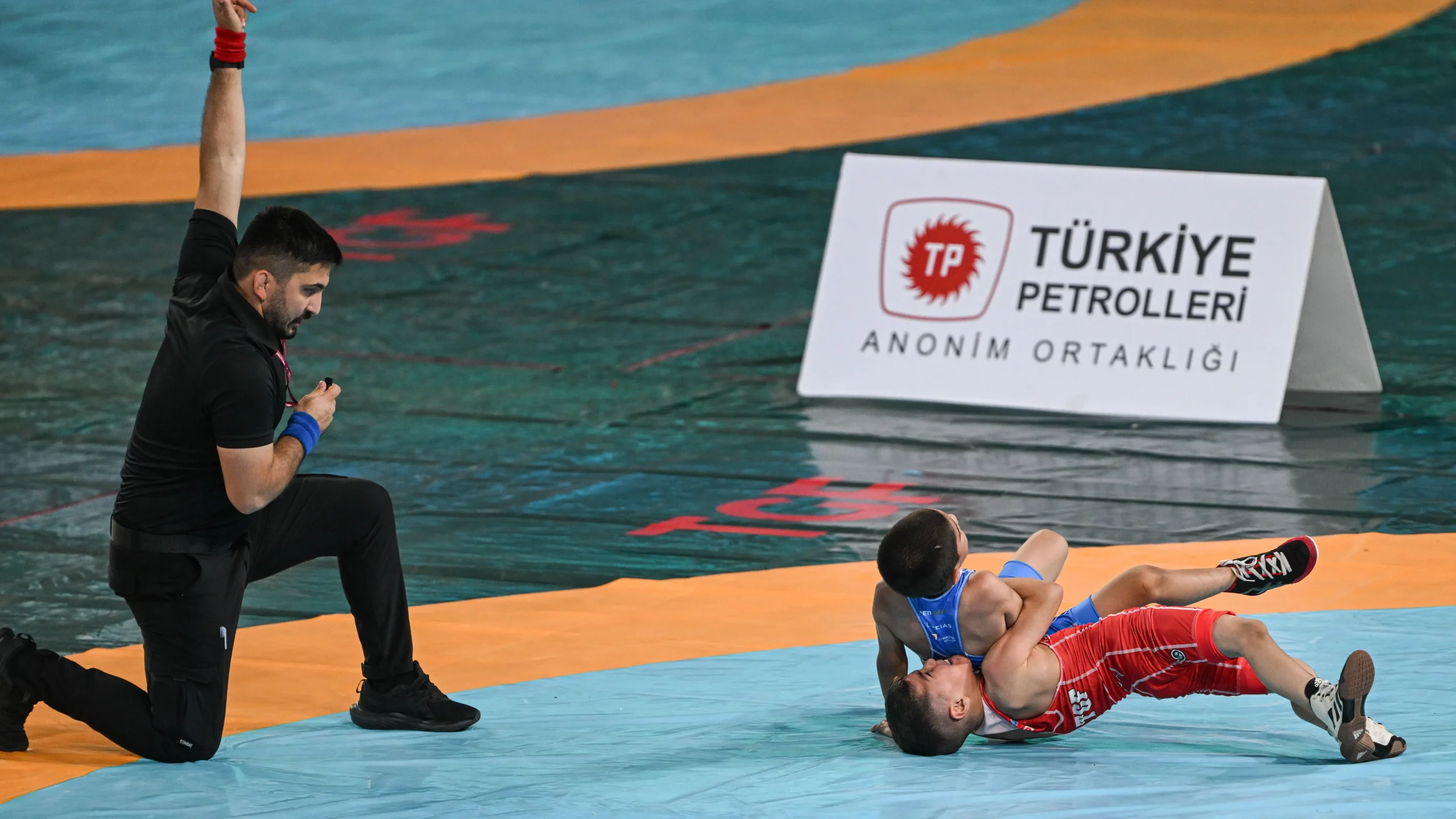 Türk güreşi için "ekim zamanı" 2 Türk güreşi için "ekim zamanı"