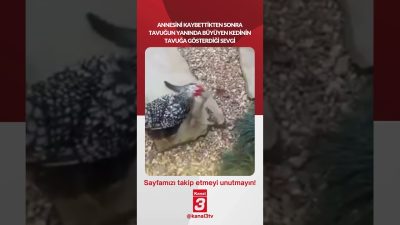Kanal 3Çar, Temmuz 22, 2026 2:00pmURL:Embed:Annesini kaybettikten sonra tavuğun yanında