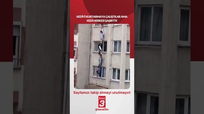 Kanal 3Çar, Temmuz 22, 2026 4:00pmURL:Embed:Kediyi kurtarmaya çalıştılar ama kedi