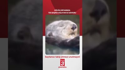 Kanal 3Çar, Temmuz 8, 2026 2:00pmURL:Embed:Gölün ortasında tek başına ağlayan