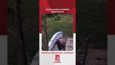 Kanal 3Cts, Temmuz 11, 2026 4:00pmURL:Embed:Küçük çocuğun ata binmesi beğeni