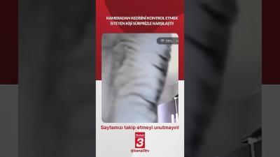 Kanal 3Cts, Temmuz 4, 2026 4:00pmURL:Embed:Kameradan kedisini kontrol etmek isteyen