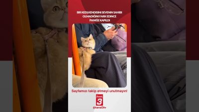 Kanal 3Paz, Temmuz 12, 2026 10:00amURL:Embed:Bir kedi, kendisini sevenin sahibi