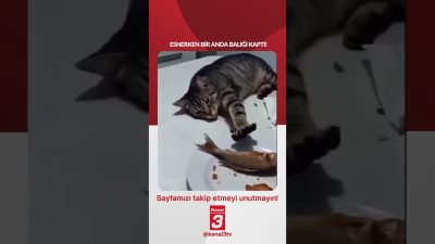 Esnerken bir anda balığı kaptı! 📶https://kanal3.com.tr/ Sosyal Medya Hesaplarımızı Takip
