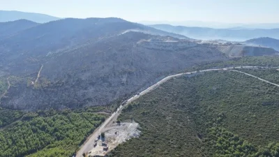 Manisa'nın Akhisar ve Muğla'nın Milas ilçelerinde çıkan orman yangınları kontrol