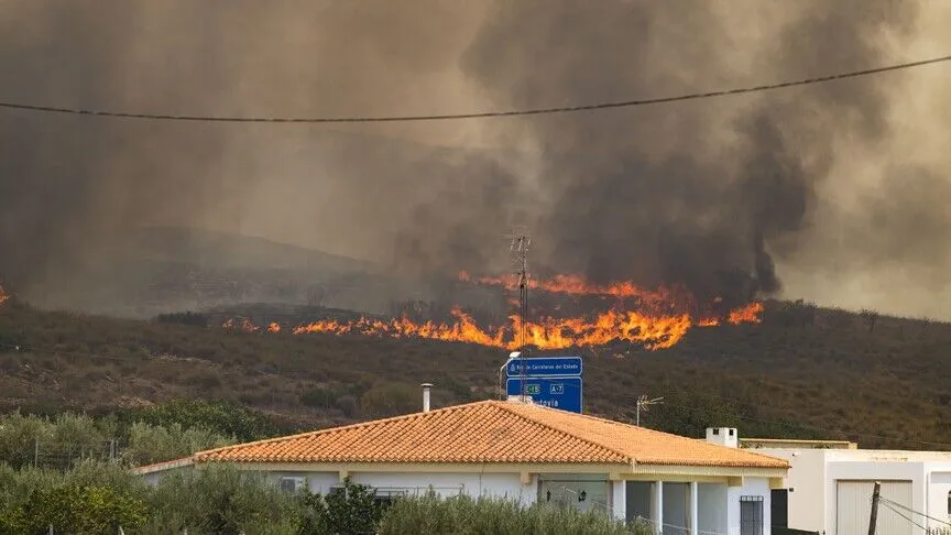 İspanya İçişleri Bakanı Fernando Grande-Marlaska, başkent Madrid ve çevresindeki orman