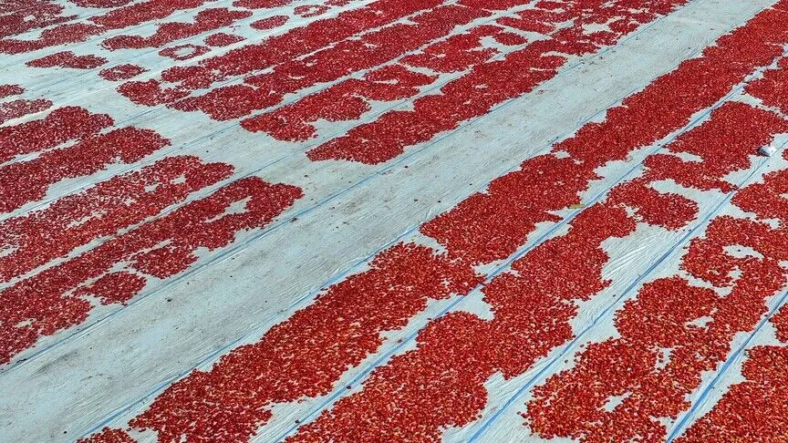 Türkiye, 2026 yılının ocak-haziran döneminde 91 ülkeye gerçekleştirdiği 18 bin