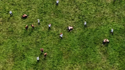 665. Tarihi Kırkpınar Yağlı Güreşleri'nde ikinci gün heyecanı, deste büyük