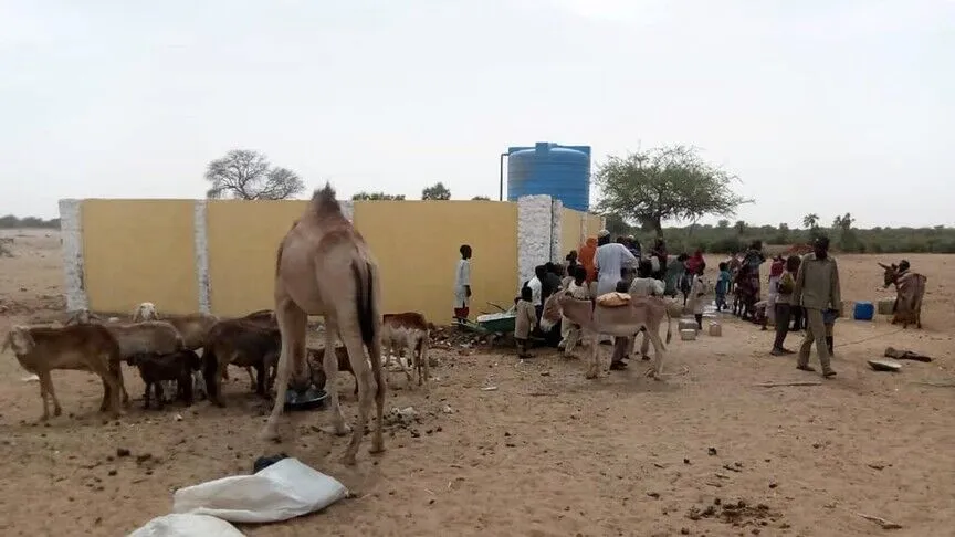 Sudan Doktorlar Ağı, Kuzey Kordofan eyaletinde kolera ve kızamık salgınları