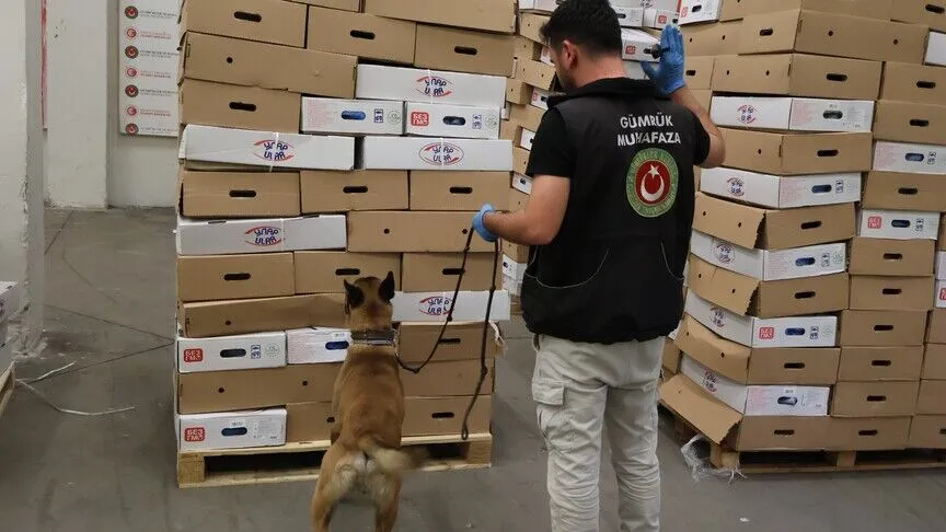 Ticaret Bakanlığı Gümrükler Muhafaza ekiplerince Kapıkule Gümrük Kapısı'nda düzenlenen iki