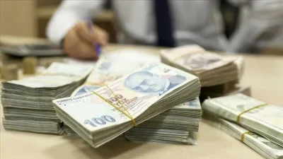 Bireysel Emeklilik Sistemi (BES) ve Otomatik Katılım Sistemi'ndeki (OKS) devlet