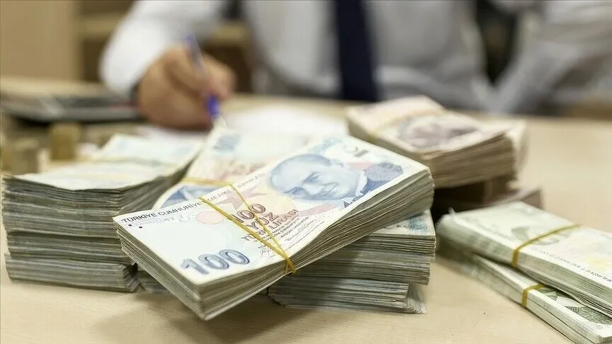 Bireysel Emeklilik Sistemi (BES) ve Otomatik Katılım Sistemi'ndeki (OKS) devlet