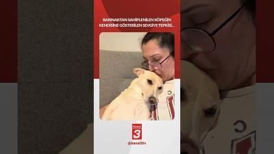 Barınaktan sahiplenilen köpeğin kendisine gösterilen sevgiye tepkisi… 📶https://kanal3.com.tr/ Sosyal Medya