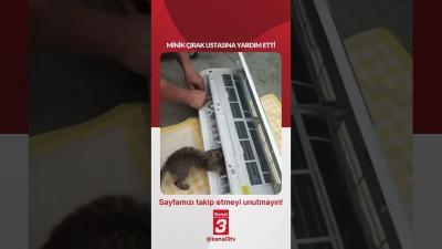 Kanal 3Per, Temmuz 2, 2026 12:00pmURL:Embed:Minik çırak ustasına yardım etti…