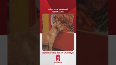 Afişte yer alan görseli gerçek sandı… 📶https://kanal3.com.tr/ Sosyal Medya Hesaplarımızı