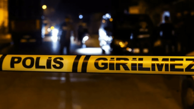 Konya'nın Seydişehir ilçesinde gece saatlerinde domuz sürüsünü kovalamak amacıyla tarlaya
