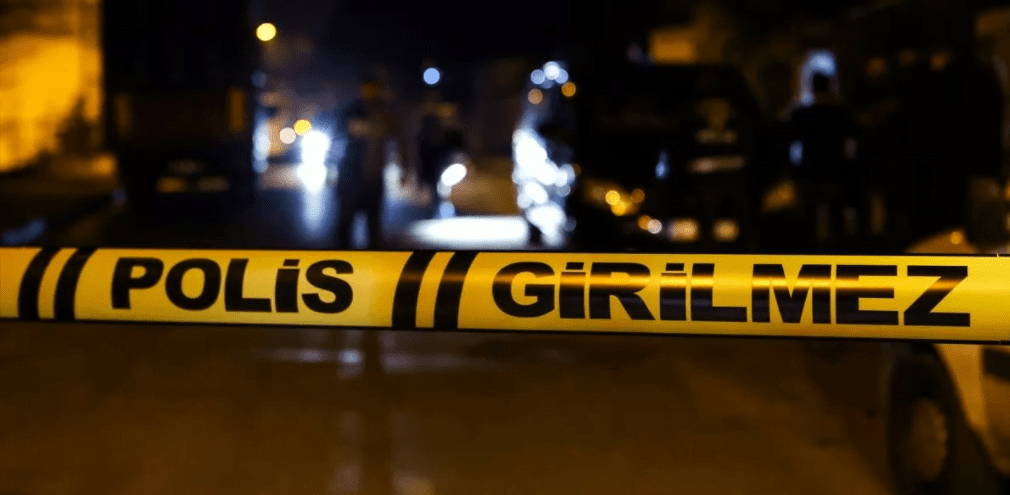 Konya'nın Seydişehir ilçesinde gece saatlerinde domuz sürüsünü kovalamak amacıyla tarlaya