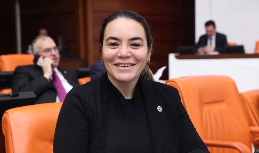 TBMM Adalet Komisyonu’nda "Milli Dayanışma ve Toplumsal Bütünleşmenin Güçlendirilmesine Dair