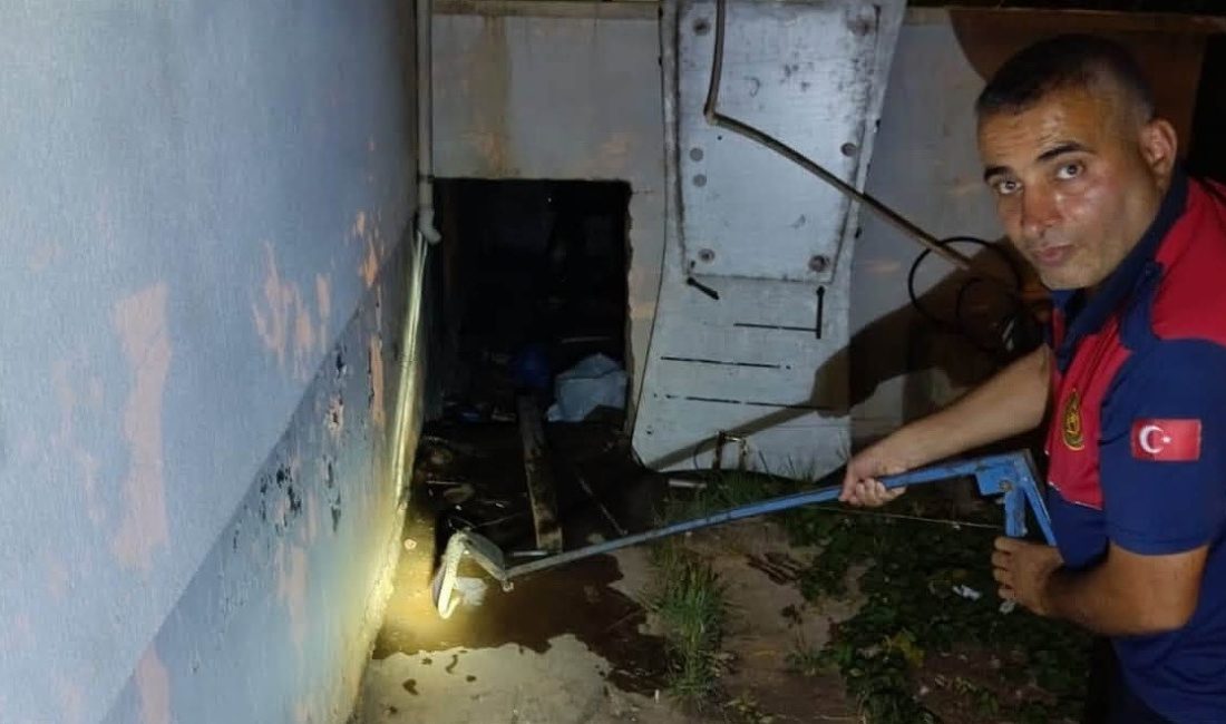 Adıyaman’ın Besni ilçesinde bir evin depo bölümüne giren yılan, paniğe