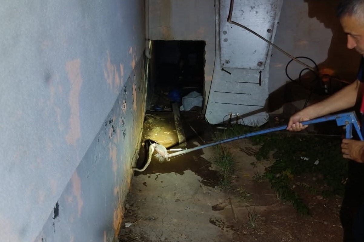 Evin deposuna giren yılan ekipleri harekete geçirdi 1 Evin deposuna giren yılan ekipleri harekete geçirdi
