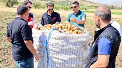 Afyonkarahisar’ın Şuhut ilçesinde patates hasadı devam ederken, tarımsal üretimin mevcut